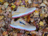 Altra Lone Peak 7