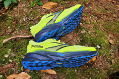 Brooks Cascadia 19