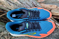 Brooks Catamount 4
