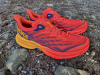 Hoka Speedgoat 5