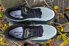Brooks Cascadia 20
