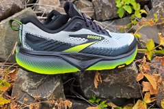 Brooks Cascadia 20