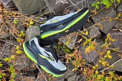 Brooks Cascadia 20