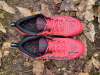 Mizuno Wave Daichi 8
