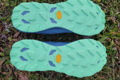 Mizuno Wave Daichi 9