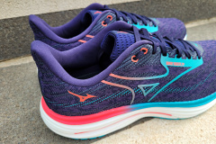 Mizuno Wave Rider 29