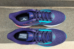 Mizuno Wave Rider 29