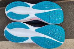 Mizuno Wave Rider 29