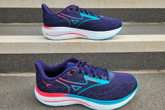 Mizuno Wave Rider 29